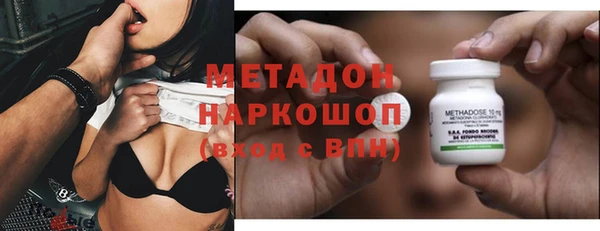 амф Гусев
