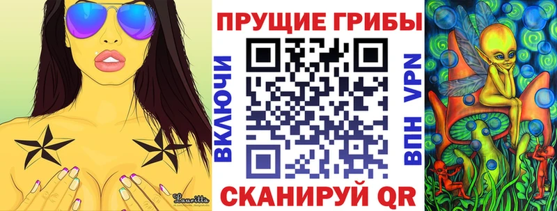 закладка  Жигулёвск  Псилоцибиновые грибы Cubensis 